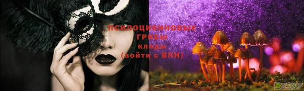 таблы Бородино