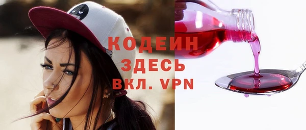 таблы Бородино