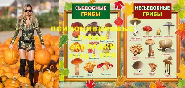 таблы Бородино