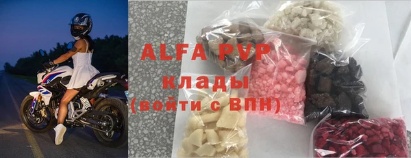 таблы Бородино