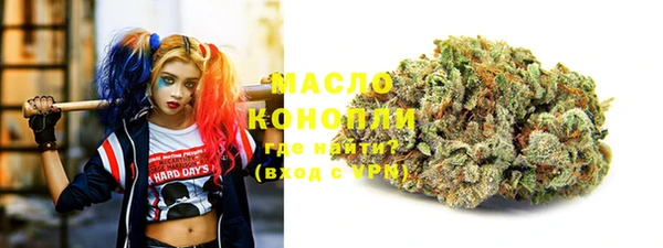 таблы Бородино